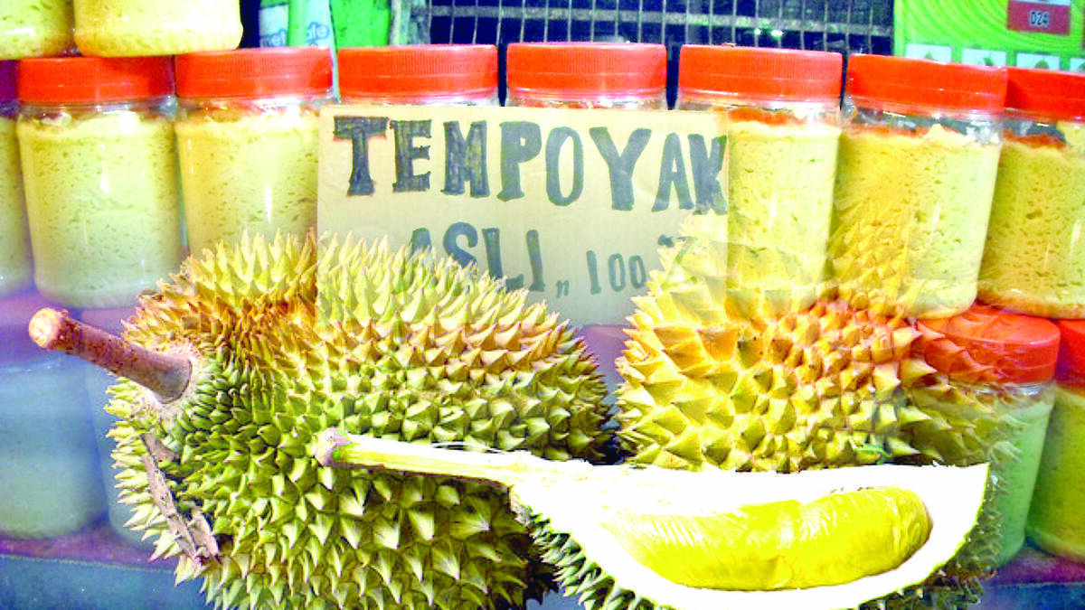 Kurang Dikembangkan “Tempoyak” Terancam