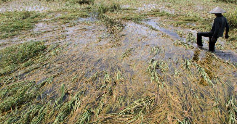 Lahan Petani Terendam, Dewan Minta Perusahaan Tanggung Jawab