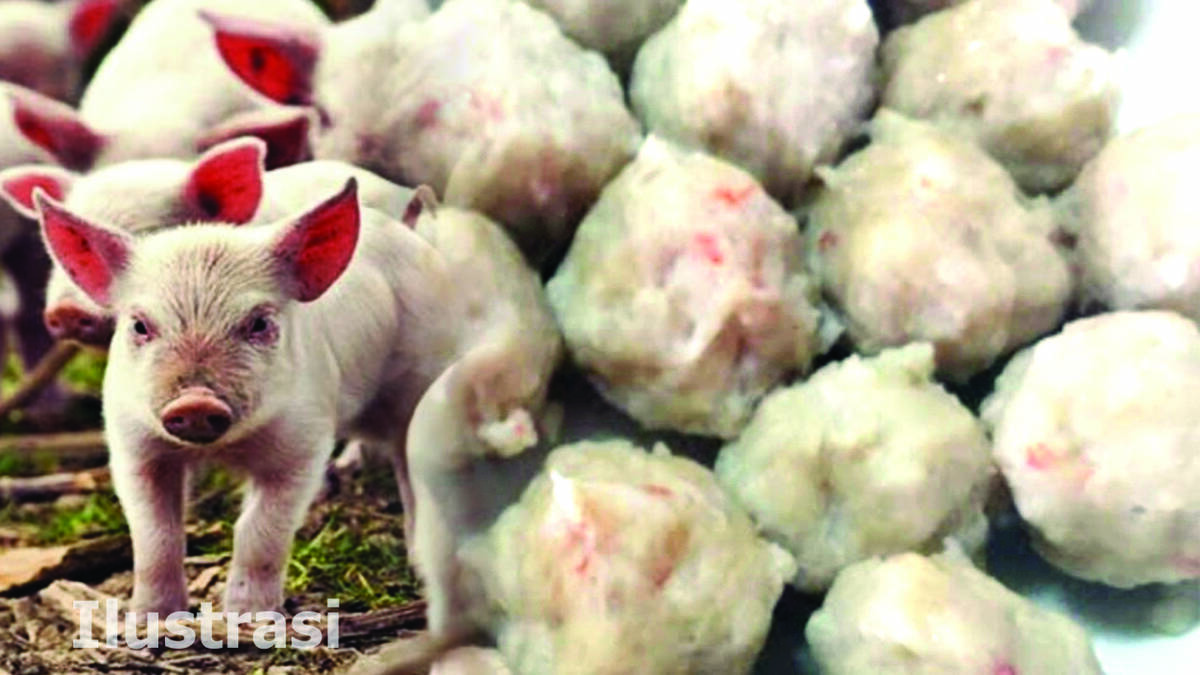 Mahasiswa Temukan Pedagang Bakso Pakai Daging Babi