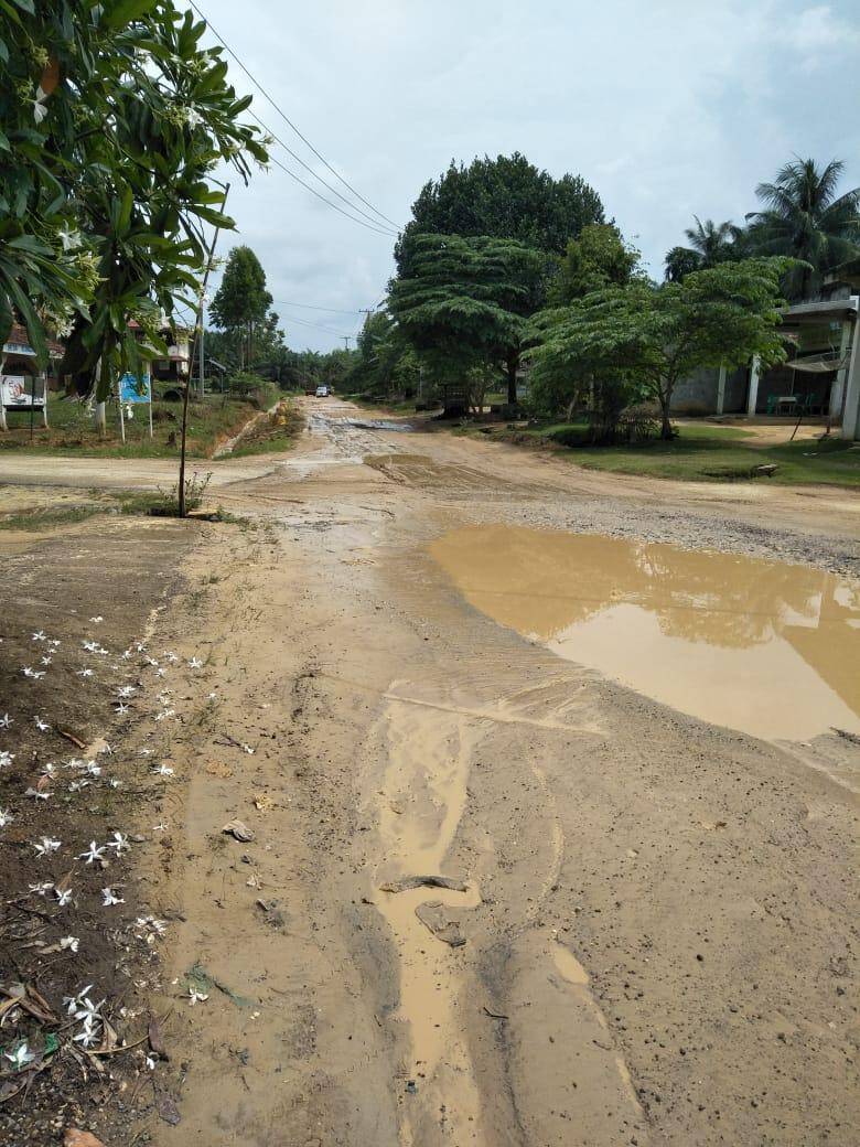 Masyarakat Desa Sungai Keruh Keluhkan Jalan Rusak