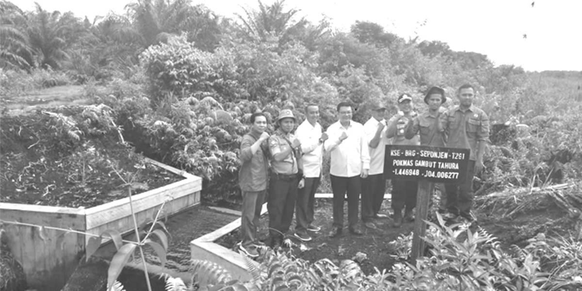 Masyarakat Jambi Terima Dana Swakelola Revitalisasi Lahan Gambut
