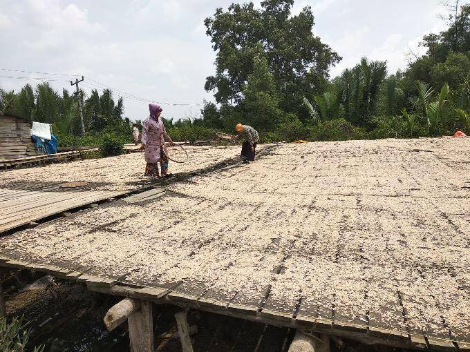 Melirik Pembuat Udang Papay di Kampung Nelayan