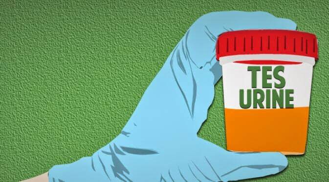 Meminimalisir Peredaran Narkoba, PNS Bakal Dites Urine