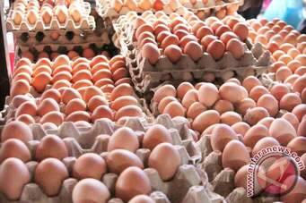 Mentan Akui Disparitas Harga Telur 60 Persen