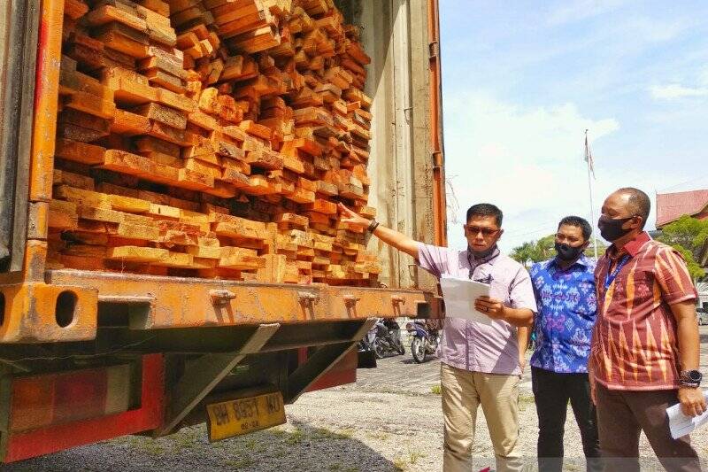 Modus Pembalakan Liar: Surat Jambi Tapi Kayu Asal Riau