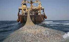 Nelayan Keluhkan Kapal Trawl yang Bebas Menangkap Ikan