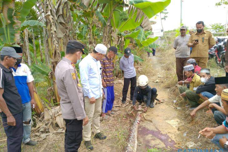 Nenek 90 Tahun Warga Muara Sabak Tewas Dililit Ular Piton