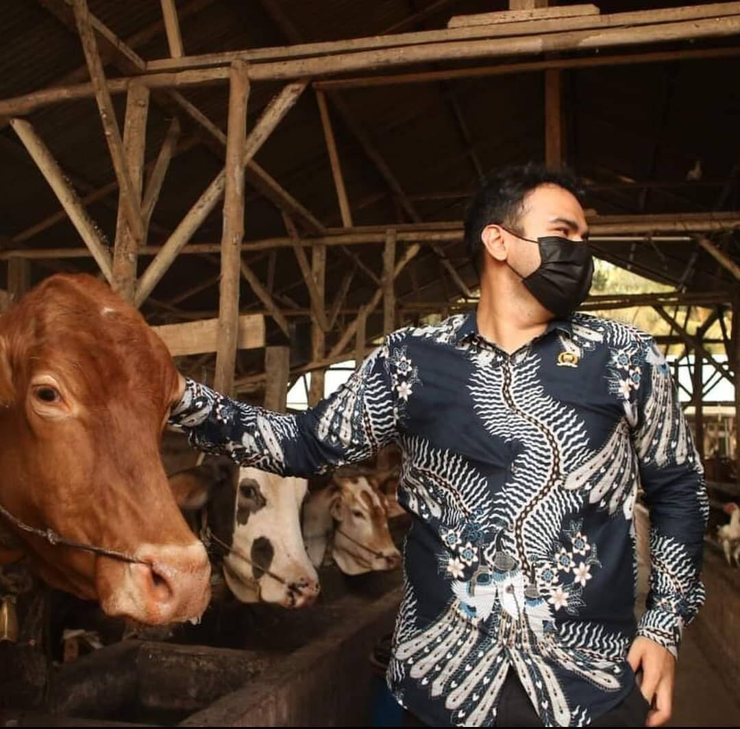 Pak Fadhil Arief, Anggota DPRD Jambi Ini Terinsipirasi dengan Pasar Ternak Batanghari, Mau Dikembangkannya ke Tanjab Barat-Tanjab Timur