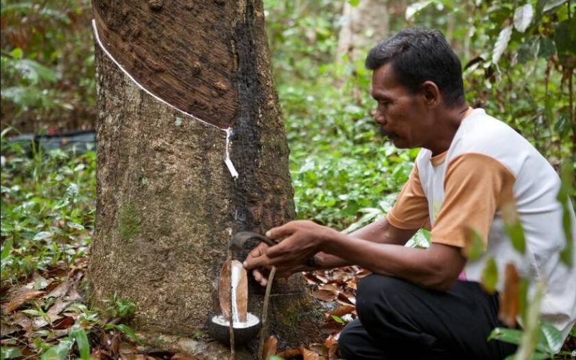 Pelan Hasilnya Pasti! Begitulah Geliat Ekonomi Jambi, Nanjak sampai Rp6 Triliun
