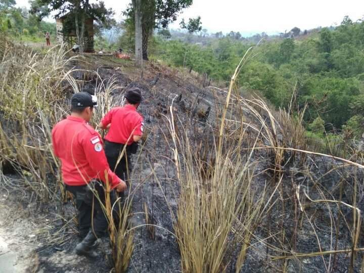Pembakar Lahan Terpantau Asap Digital
