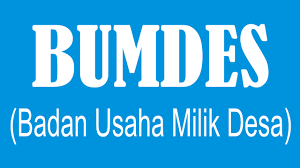 Pembentukan Pengurus BUMDes Lebihi Target