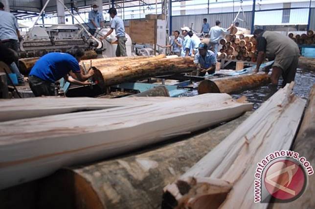 Pemerintah Berupaya Kembalikan Kejayaan Kayu Lapis Indonesia