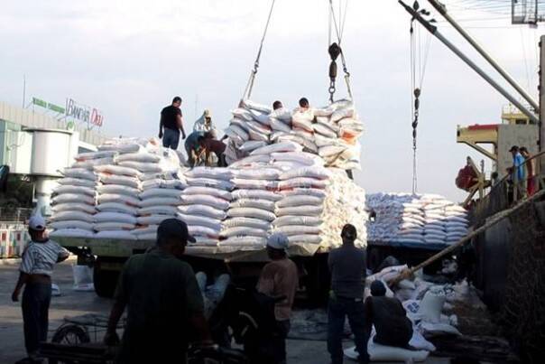 Pemerintah Diminta Pastikan Ketersediaan Beras Medium
