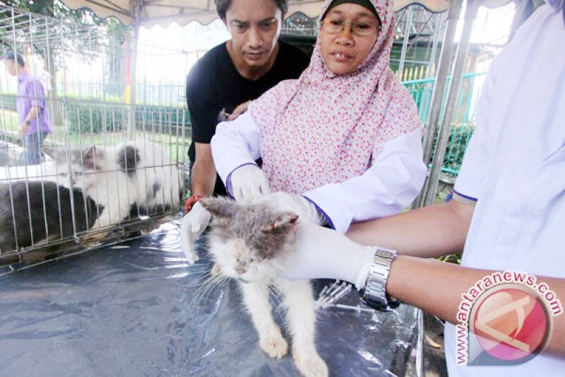Pemerintah Jaga Penyakit Menular Sebatas Pada Hewan