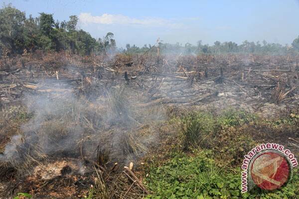 Pemerintah Perlu Fasilitasi Petani Cegah Karhutla