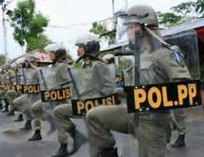 Pemilik Ternak Bandel, Pol PP Kewalahan