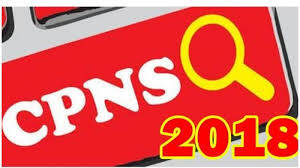 Peminat CPNS Kesulitan Masuk ke Situs BKN
