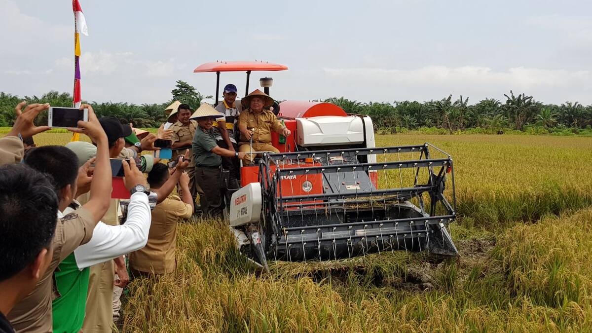 Pemkab Dorong Penangkaran Padi Seluas 10 Hektare