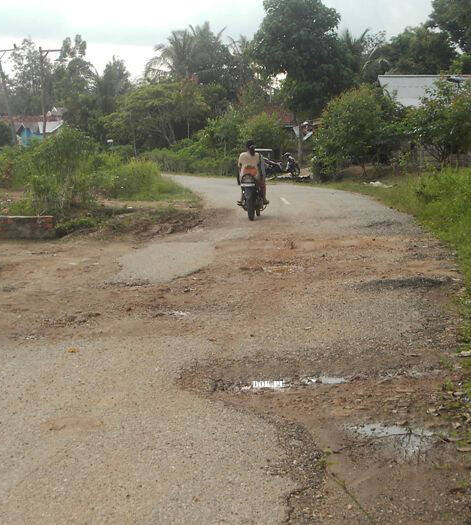 Pemkab Janji Perbaiki Jalan Desa Lubuk Ruso