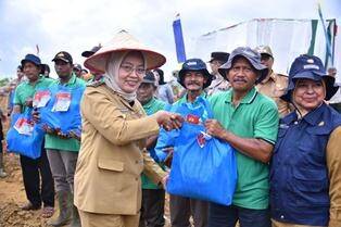 Pemkot Jambi Siapkan Lahan Dukung Penanaman Jagung Serentak 1 Juta Hektar
