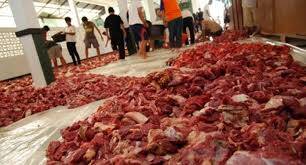 Pemkot Siapkan 2.000 Kupon Daging Kurban