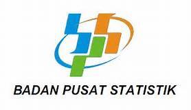 Pemprov Luncurkan Data Statistik Berbasis Android