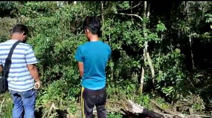 Pemuda 20 Tahun Tanam Ganja di Merangin