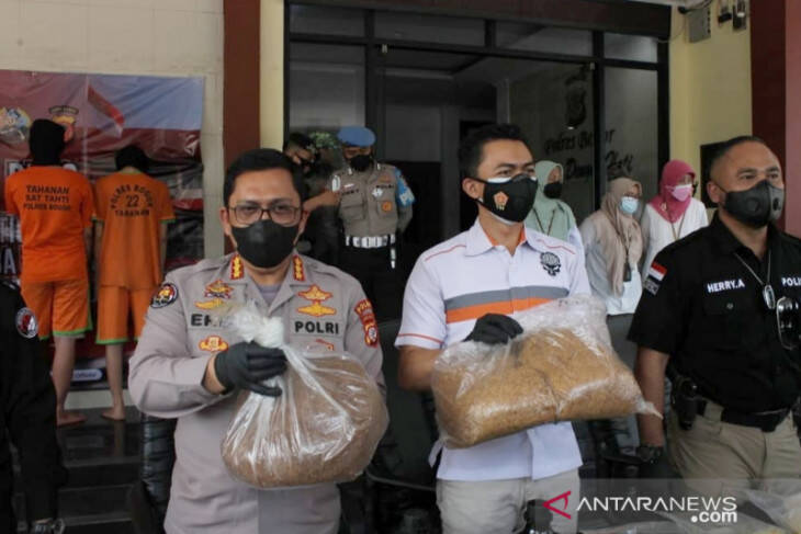 Pengedar Tembakau Sintetis Asal China Diringkus