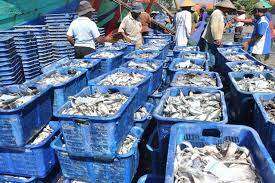 Perikanan &#8220;Trophic Level&#8221; Alternatif Produksi Di Kumpeh