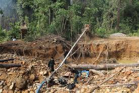 Perilaku PETI Diminta tidak Merusak Kawasan Hutan Lindung