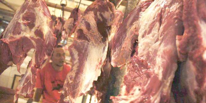 Permintaan Daging Di Jambi Diyakini Akan Terpenuhi