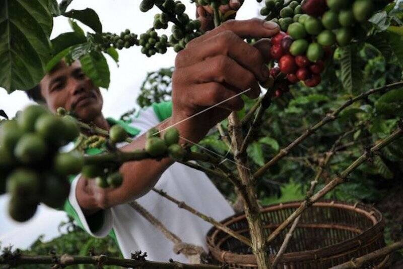Pertama Kali Bahkan Jauh Sebelum Pandemi, BPS: Pertumbuhan Ekonomi Provinsi Jambi Luar Biasa