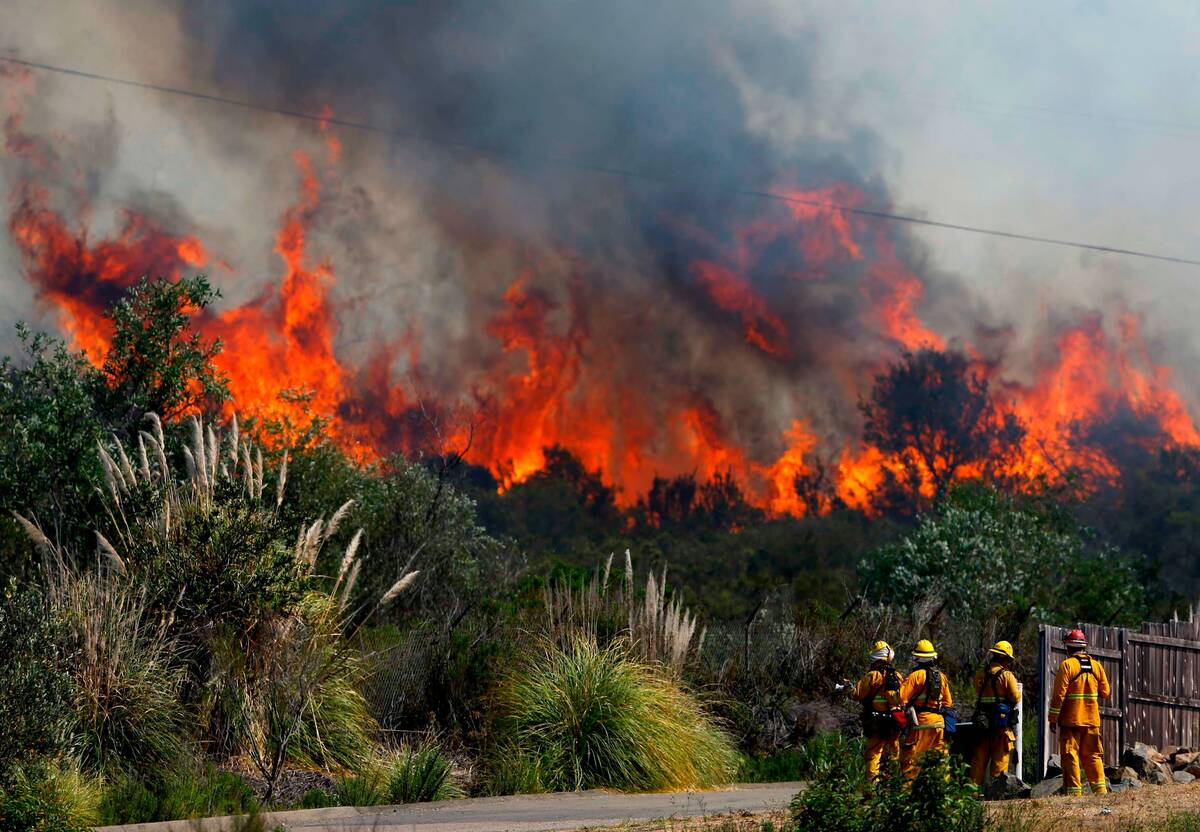 Perusahaan Perkebunan Harus Tanggap Dengan Kebakaran