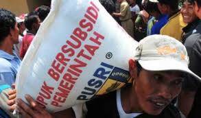Petani Sawit Keluhkan Harga Pupuk Bersubsidi