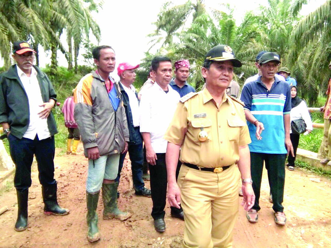 Pj Bupati Marojambi Tinjau Jalan Sungai Bahar