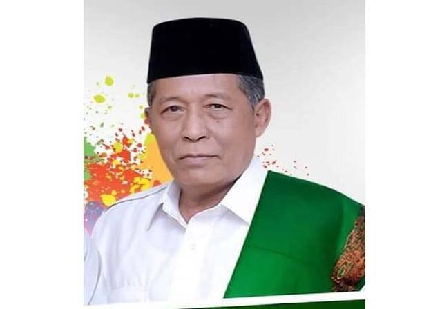PKB Usung Romi, Abdullah Sani Balik ke PDIP 