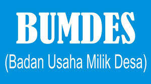 PMD Tanjabtim Targetkan Semua Desa Bentuk BUMDes