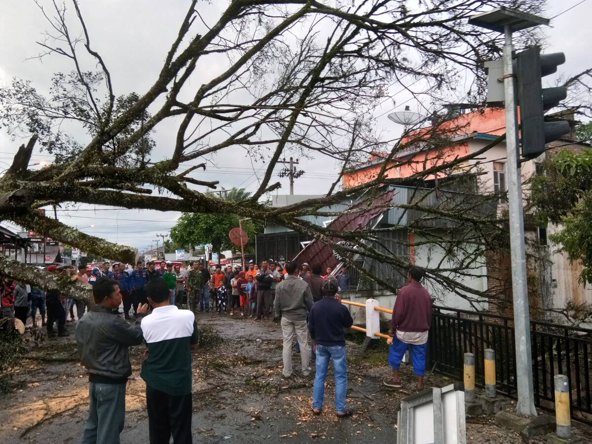 Pohon Tumbang, Tiang Listrik dan Atap Rumah Warga Amruk