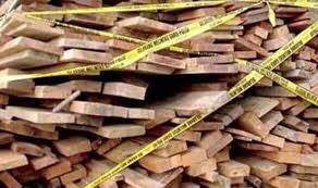 Polda Amankan 115 M3 Kayu Ilegal
