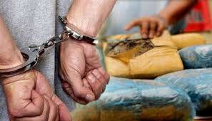 Polisi Tangkap Mahasiswa Pengedar Ganja