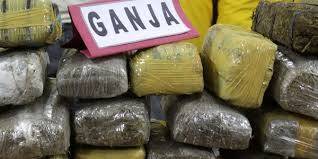 Polisi Temukan Ganja di Lembah Masurai