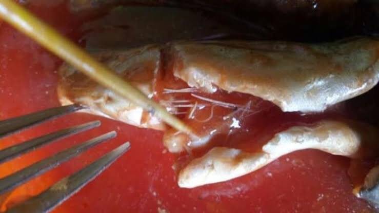Polisi Uji Laboratorium Bakso Diduga Berdaging Babi