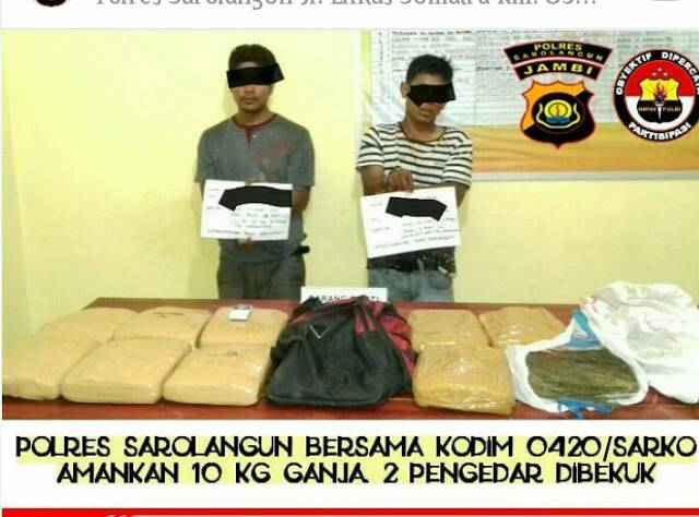 Polres  dan TNI Sarolangun Amankan 10 Kilogram Narkotika Jenis Ganja