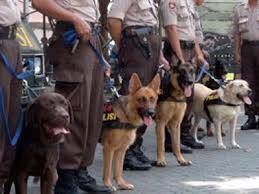 Polres Tanjabbar Bakal Dilengkapi Anjing Pelacak