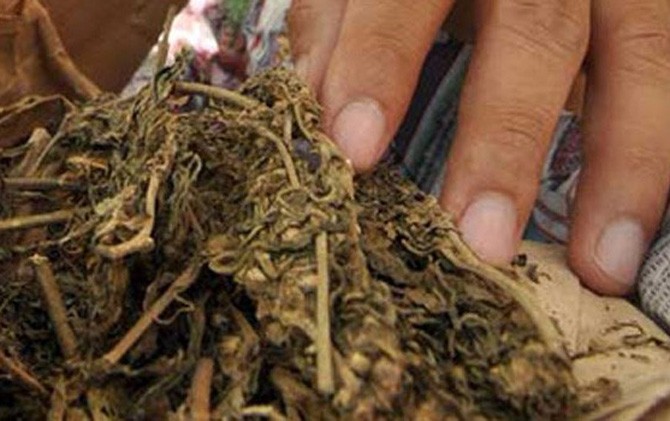 Polresta Jambi Gagalkan Penyelundupan 2Kg Sabu