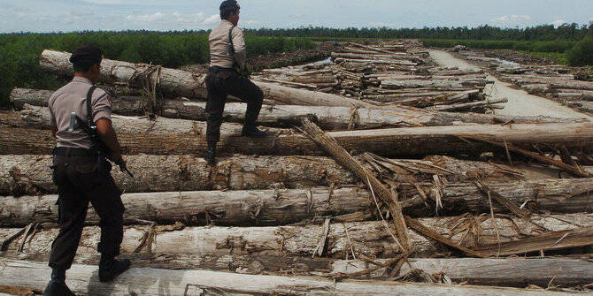 Polresta Tangkap Pelaku Illegal Logging