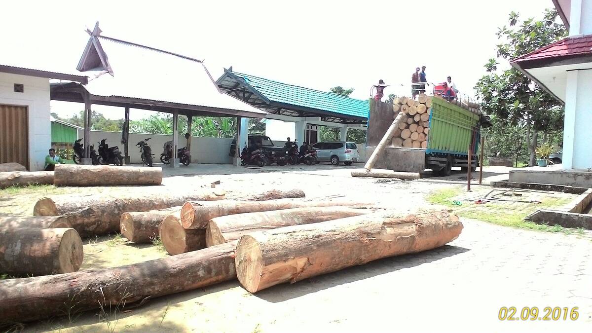 Proses Hukum Kasus Dugaan Kayu Ilegal Terus Bergulir