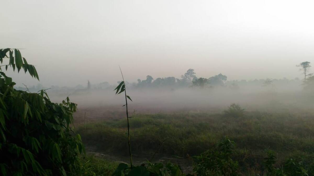 Puluhan Hektar Lahan di Batang Asam Terbakar