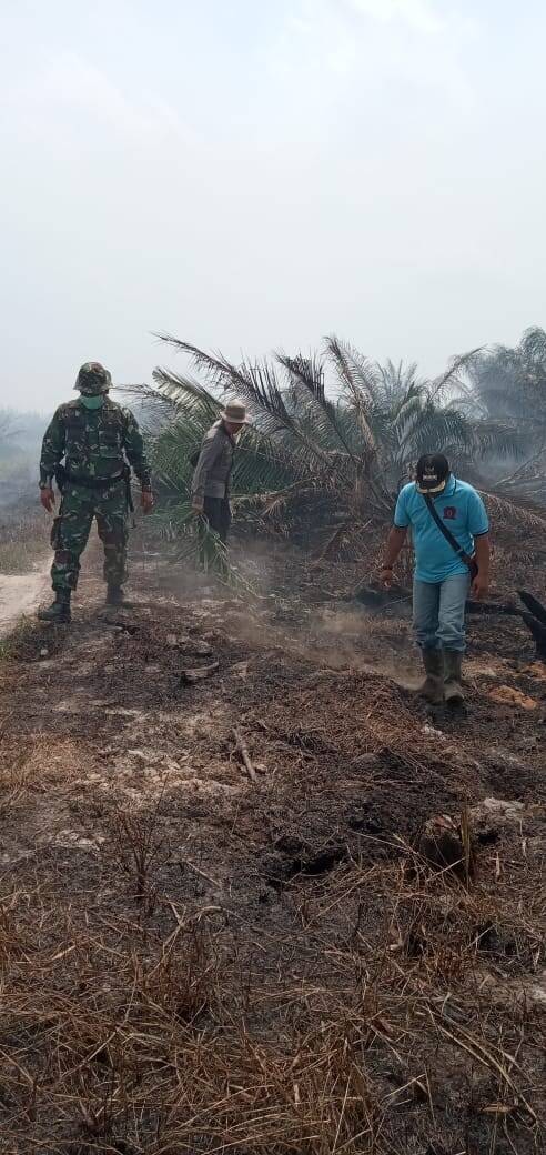 Puluhan Hektar Lahan di Batang Asam Terbakar