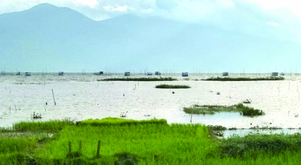 Puluhan Hektar Sawah Masih Terendam